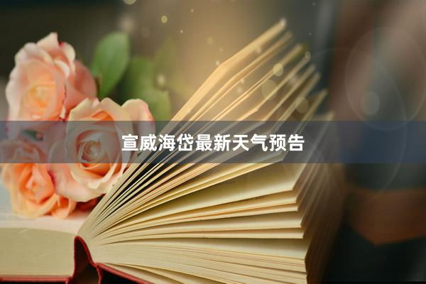 宣威海岱最新天气预告